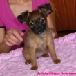 felisha 7t�dn�