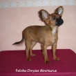 Felisha 3,5m�s�ce
