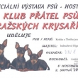 diplom z výstavy v Hostouni dne 2. srpna 2009