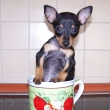 takhle m� pani�ka zkou�� u� po p�ti dnech