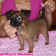 felisha 7t�dn�