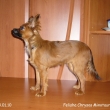felisha 6m�s�c�